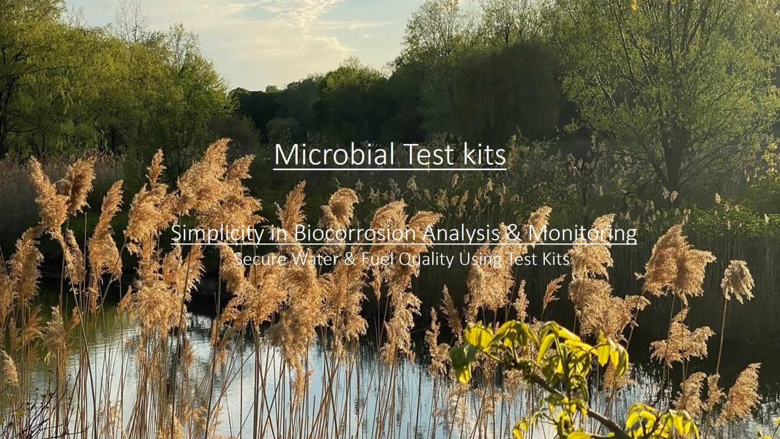 nkk microbial test kits http://nkk-tech.ir srb test kit tbc test kit تست کیت میکروبی تست کیت باکتری